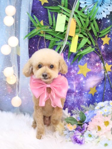 20250709ココアくん